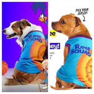 [Bark!] Space Jam Tune Squad Looney Tunes Jersey Dog Costume Halloween Sz Medium